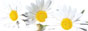 �}�[�K���b�g